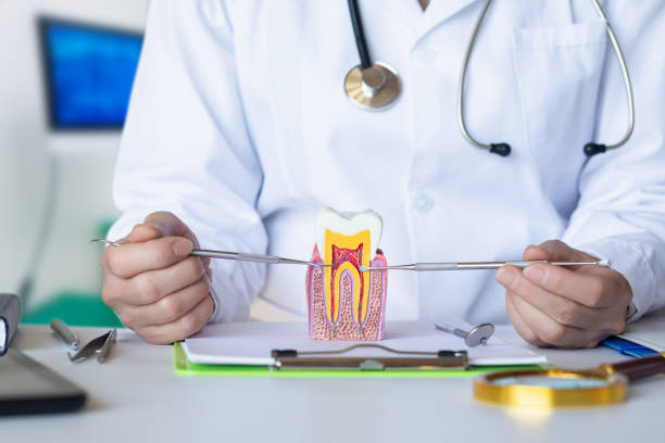 Best Emergency Dentist for Knocked-Out Tooth in Ahoskie, NC